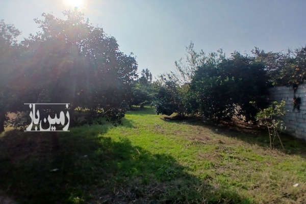زمین تو بافت باغیه خوش قواره-1