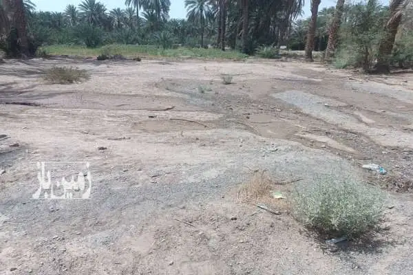 فروش زمین در محمداباد کنار مسجد جامع - تصویر 2
