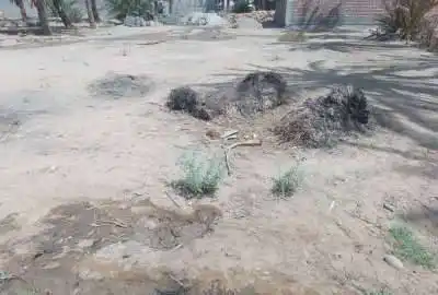 فروش زمین در محمداباد کنار مسجد جامع