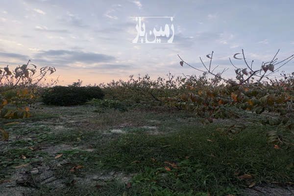 زمین باغ کشاورزی در نکا ۵۲۲۴ متر-1