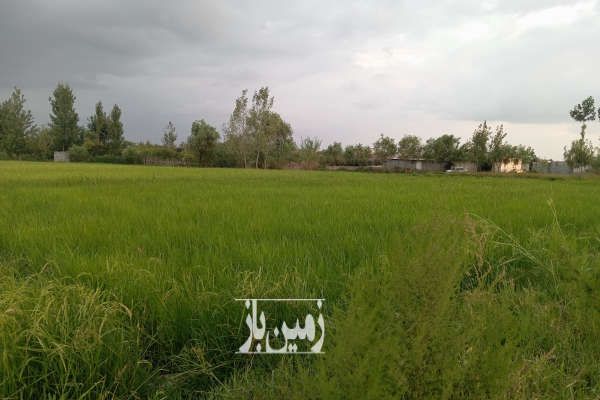 زمین کشاورزی جفت به بافت روستای علمدار ۱۰۰۰ متر-1