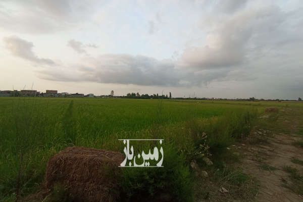 زمین کشاورزی جفت به بافت روستای علمدار ۱۰۰۰ متر-2
