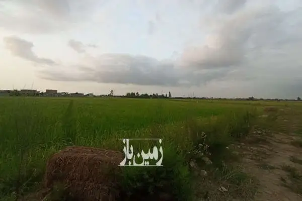 زمین کشاورزی جفت به بافت روستای علمدار ۱۰۰۰ متر - تصویر 2