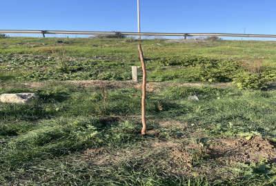 زمین ابتدای ورودی بهشهر دارای سند ۶۲۵ متر