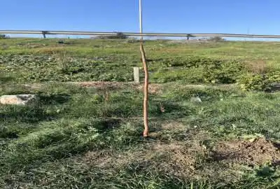 زمین ابتدای ورودی بهشهر دارای سند ۶۲۵ متر