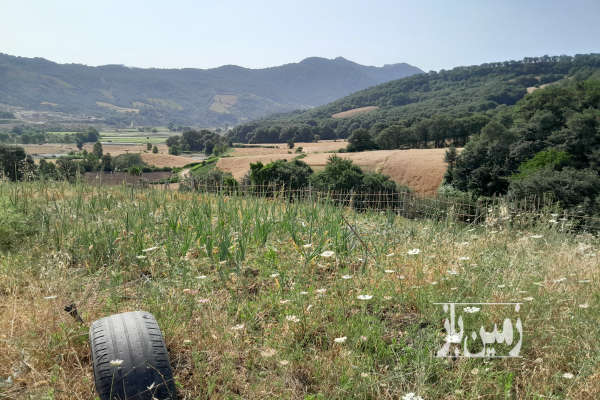 زمین باغی در روستای محمد اباد جاده سلامت ۲۰۰ متر-1
