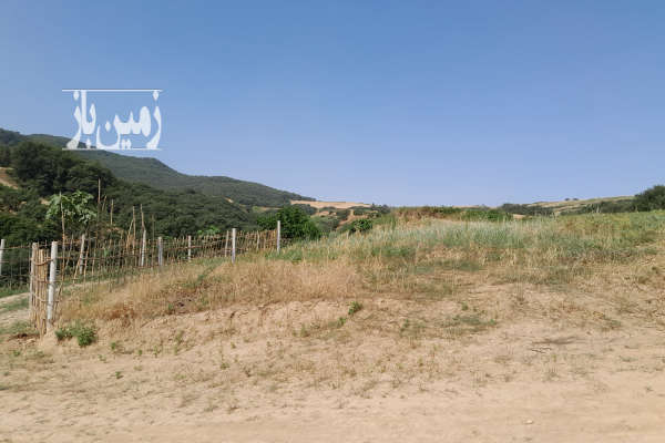 زمین باغی در روستای محمد اباد جاده سلامت ۲۰۰ متر-2
