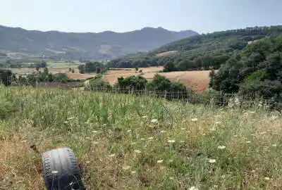زمین باغی در روستای محمد اباد جاده سلامت ۲۰۰ متر