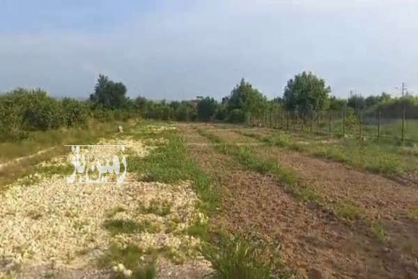 زمین واقع در جاده گلما ساری ۱۳۰۰ متر-2