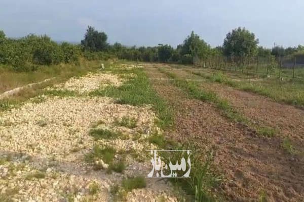 زمین واقع در جاده گلما ساری ۱۳۰۰ متر-3