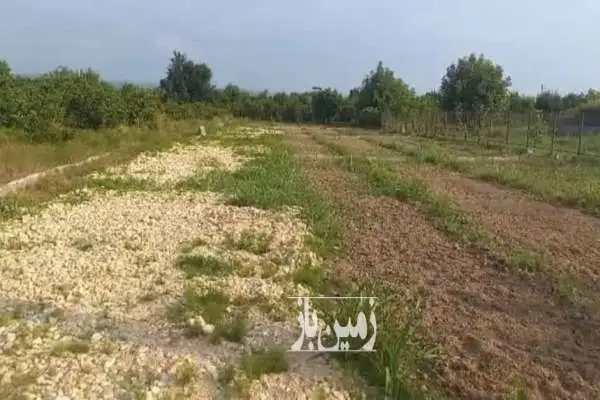 زمین واقع در جاده گلما ساری ۱۳۰۰ متر - تصویر 3