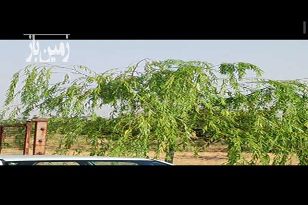فروش باغ ۳۰۰۰متری در جاده مهاباد میاندوآب-3