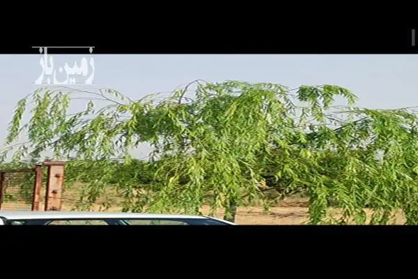 فروش باغ ۳۰۰۰متری در جاده مهاباد میاندوآب - تصویر 3