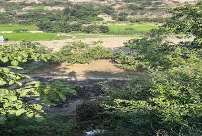 زمین با ویو ابدی ۳۸۸ متر منطقه آلاشت روستای مومج