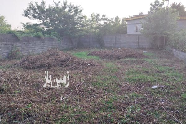 زمین در زیباکنار مرکز شهر ۲۵۰ متر-1