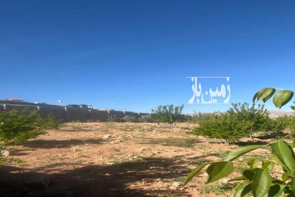زمین باغشهری ۱۰۰۰ متری سیاخ دارنگون-2