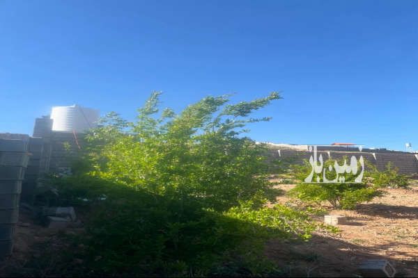 زمین باغشهری ۱۰۰۰ متری سیاخ دارنگون-3
