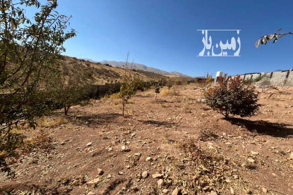 زمین باغشهری ۱۰۰۰ متری سیاخ دارنگون-4