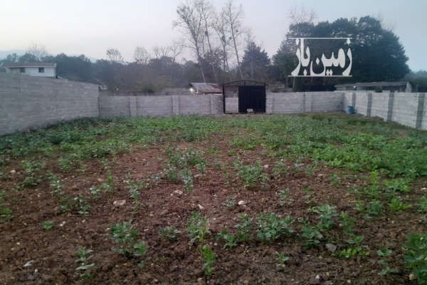 زمین سند تک برک مسکونی استعلام به روز ماسال شاندرمن-1