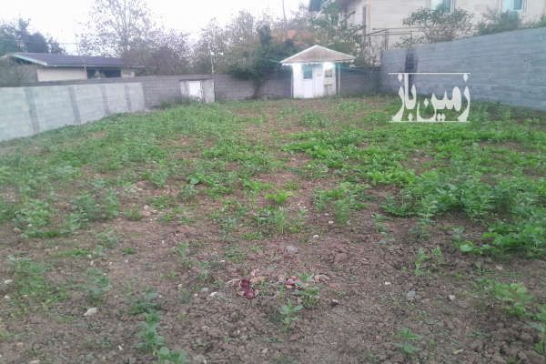 زمین سند تک برک مسکونی استعلام به روز ماسال شاندرمن-2