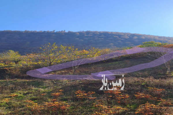 زمین داخل بافت روستای کوهستانی شیرین آباد ۲۴۵ متر-2