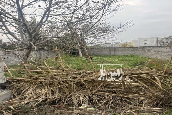 فروش زمین مسکونی آیت رسالت ۲۰۰ متر-1