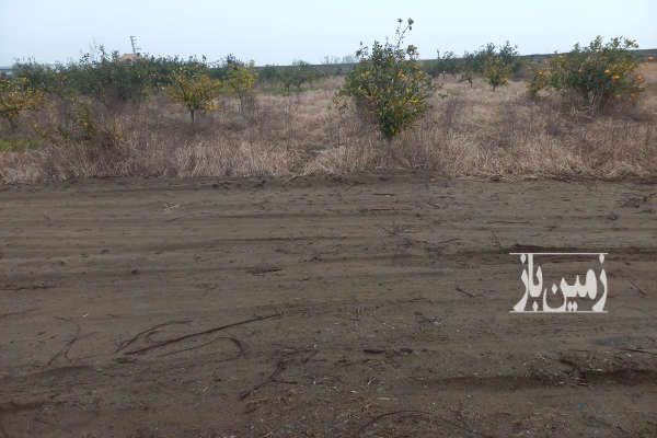 زمین کشاورزی مناسب باغچه محدوده میرود ۵۰۰ متر-2