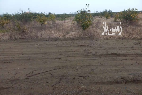 زمین کشاورزی مناسب باغچه محدوده میرود ۵۰۰ متر-4
