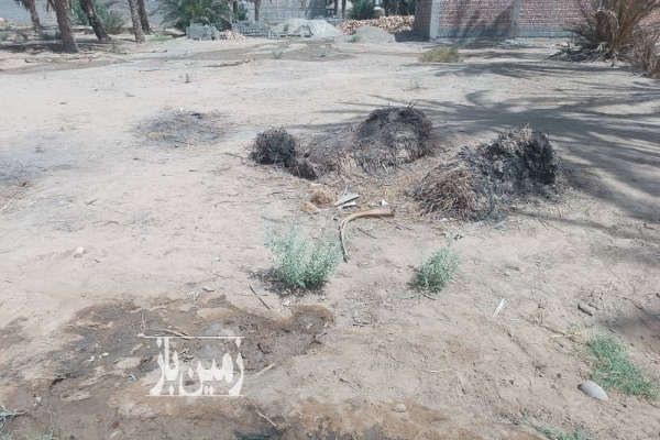 فروش زمین ایرانشهر مهدآباد ۶۰۰ متر-2