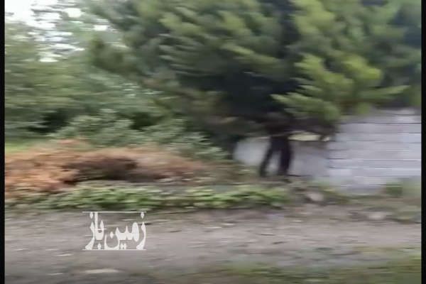 زمین در خط هشت چالوس شهرک عسگریان ۴۴۵ متر-1