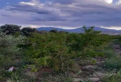باغ در طارم آببر آستاکل ۳۰۰۰ متر