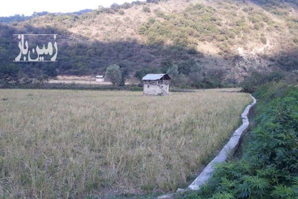 زمین شالیزار جنگلی تاکام به سمت سد شهید رجایی ۴۰۰۰ متر-1