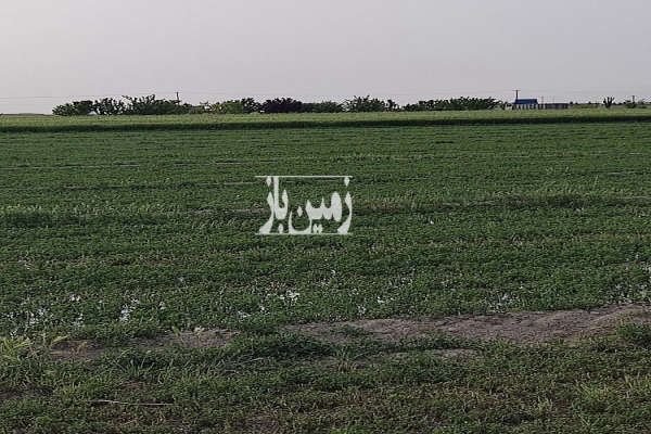 زمین کشاورزی و دامداری و باغ در سیداباد ۳ هکتار-2