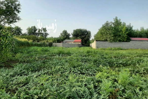 زمین ۱۵۹۰ متری در شهرستان بندرانزلی-1