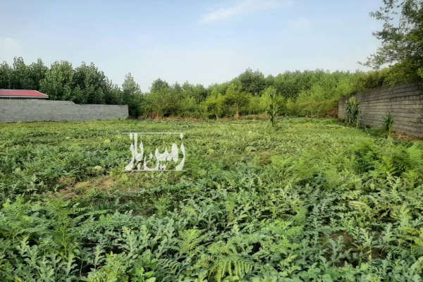 زمین ۱۵۹۰ متری در شهرستان بندرانزلی-3