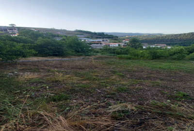 فروش زمین در سوادکوه زیراب روستای کچید ۵۰۴ متر
