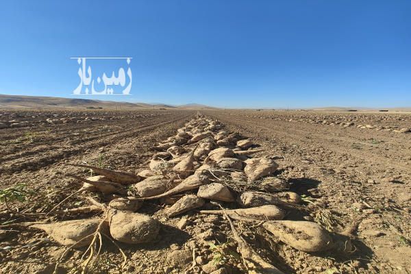 فروش زمین زراعی و باغ روستای رحمت آباد ۳۹۰۰۰۰ متر-1