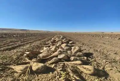 فروش زمین زراعی و باغ روستای رحمت آباد ۳۹۰۰۰۰ متر