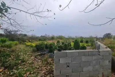 زمین خوش نقشه در روستای عظیمیه چالکش ۲۲۱ متر