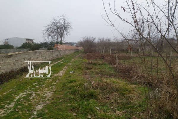 زمین باغی بهشهر روستای شهید اباد ۲۳۰ متر-1