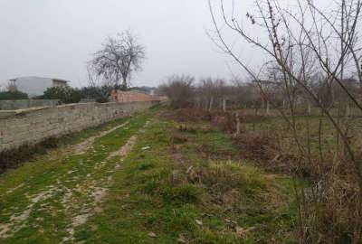 زمین باغی بهشهر روستای شهید اباد ۲۳۰ متر