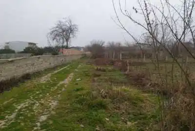 زمین باغی بهشهر روستای شهید اباد ۲۳۰ متر