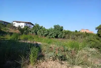 قطعه زمین ساری جاده دریاروستای ماهفروزمحله ۶۶۵ متر