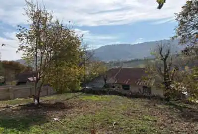 زمین در دودانگه ساری روستای جورجاده