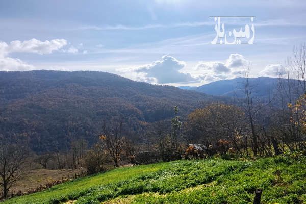 زمین خانه سرا شهرستان نکا روستای درزیکلاه-1