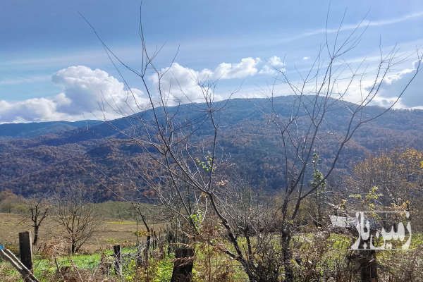 زمین خانه سرا شهرستان نکا روستای درزیکلاه-4
