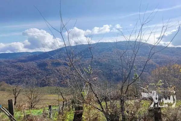زمین خانه سرا شهرستان نکا روستای درزیکلاه - تصویر 4
