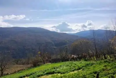 زمین خانه سرا شهرستان نکا روستای درزیکلاه