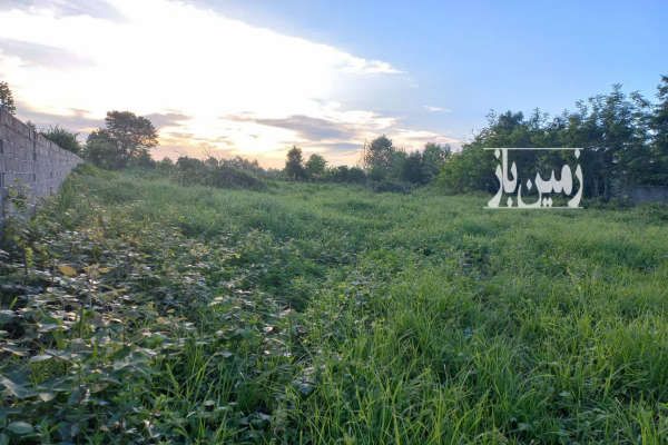 زمین باغی گیلان رشت سنگر روستای طالم سشنبه-1