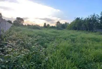 زمین باغی گیلان رشت سنگر روستای طالم سشنبه